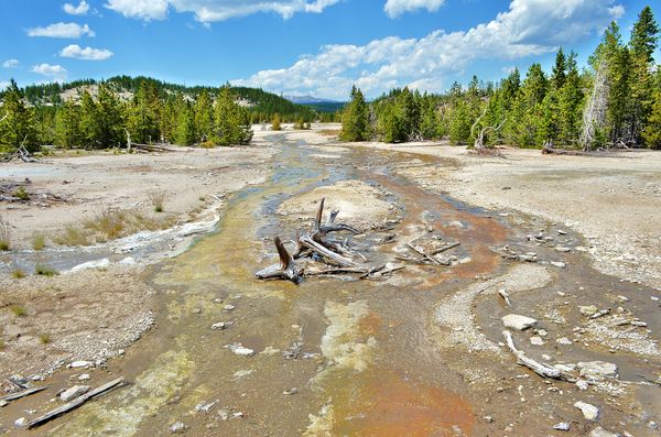 Ugly Rivers More of our visit to Yellowstone in the Mammoth area: We spent about 2 ...