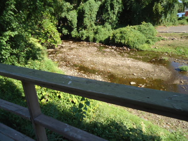 View of Pennypack Creek from their patio...