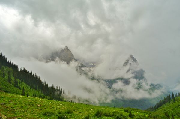 Clouds covering the mountains in Glacier on the Go...