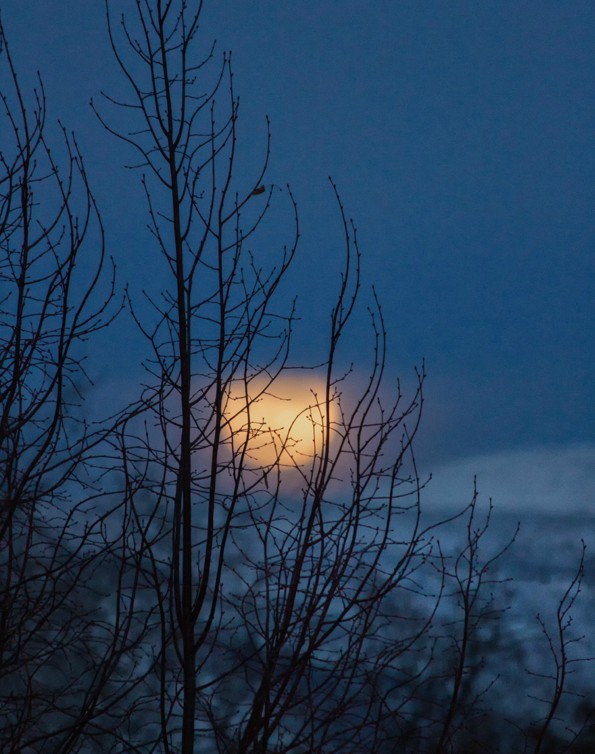 2. Another winter shot, this is moonrise shortly a...