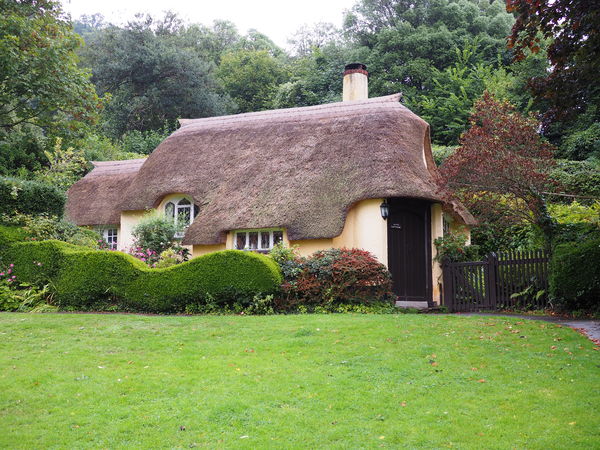 Ivy Cottage...