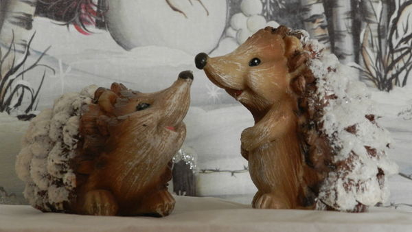 Hedgehogs playing in the snow...