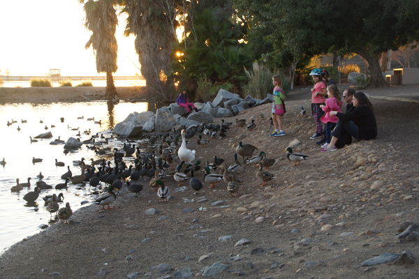 kids feeding the ducks...