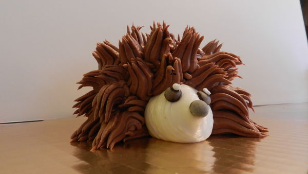 Hedgehog cake...