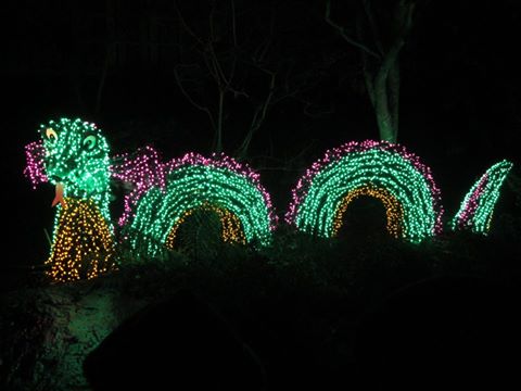 The de'lighted Dragon's humps are N's...