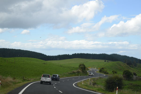A cute road on my way to Rotorua from Wellington -...
