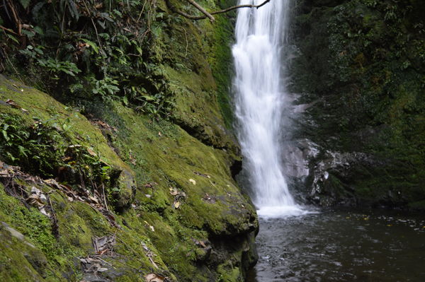 A hidden waterfall a few km before Kaikoura, New Z...