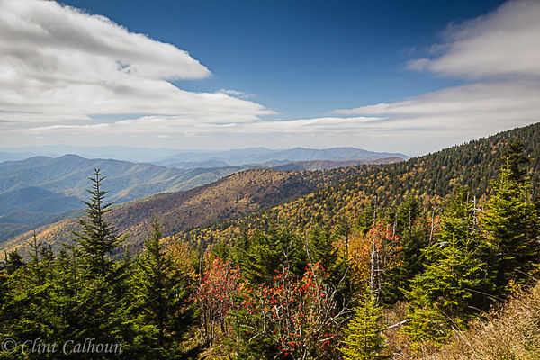 View from the Clingman's Dome Trail...
