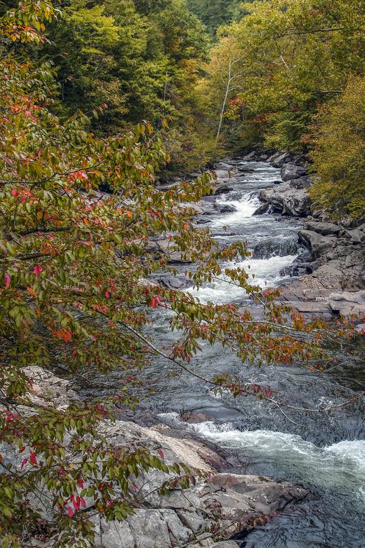 Little River - GSMNP: Little River, Great Smoky Mountains National Park ...
