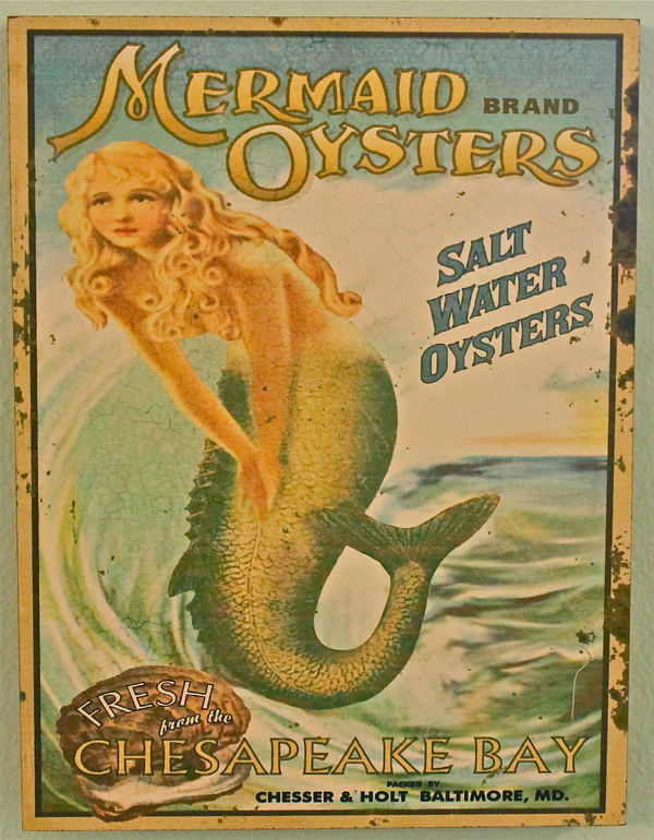 Chesapeake Bay Oysters...