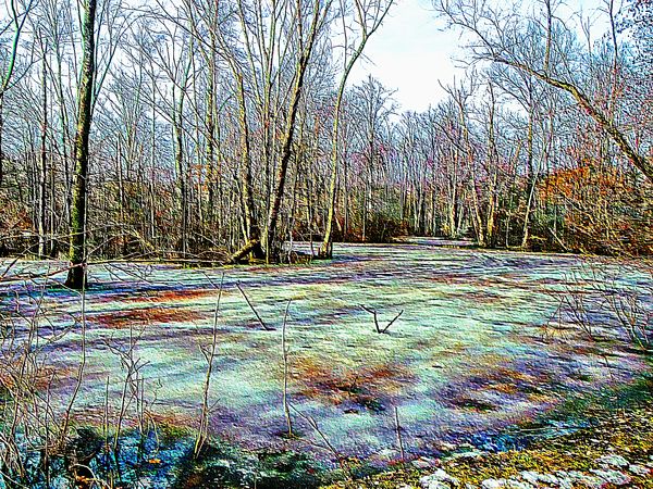 frozen pond at Bradley Wds res....