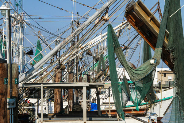 #4  A forest of fishing boat rigging...