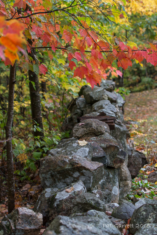 A New ENgland stone wall - with the wrong date on ...