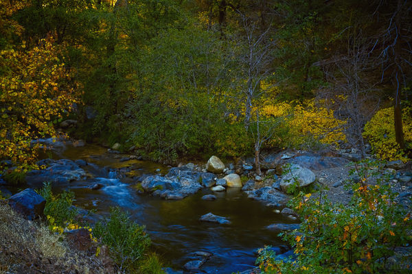 Tuolumne river fall colors...