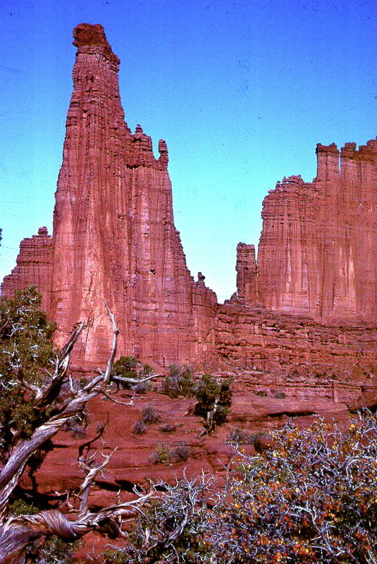5. A part of the back side of Fisher Towers...
