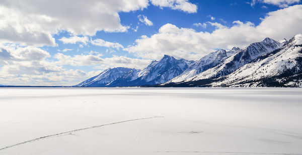A Frozen Jackson Lake...