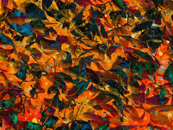 Abstract of Dead Leaves...