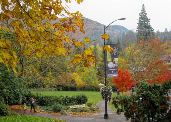 Lithia Park from the Bowmer Theater steps...
