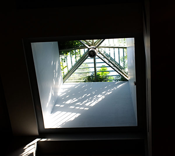 This stairwell skylight is surrounded by shrubbery...