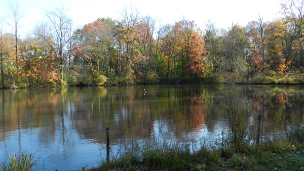 Lake at Kohler Park, Horsham, PA...