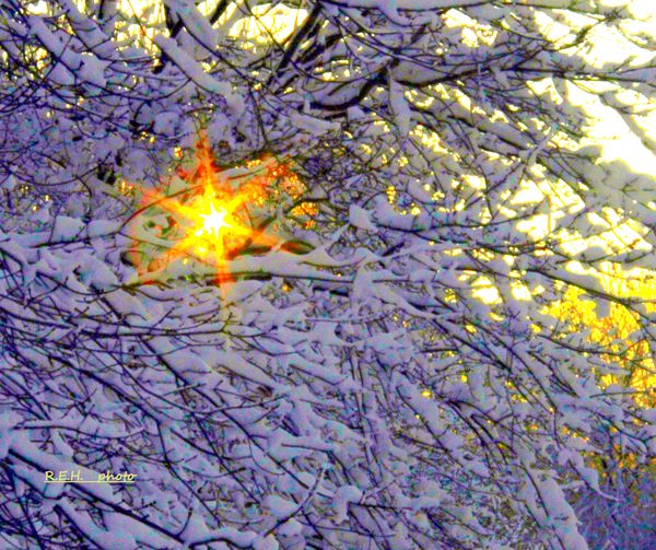 Sunset through the snow covered tree...