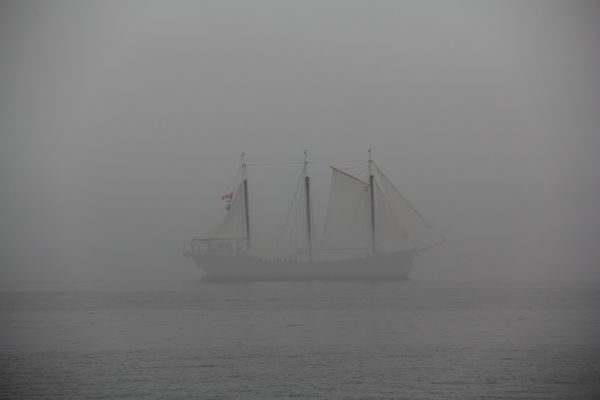 Ghost Ship...