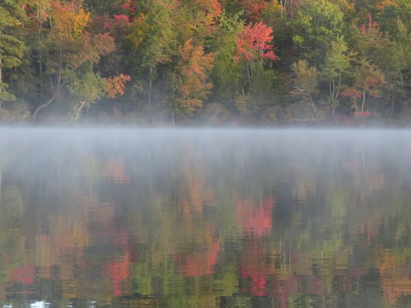 Foggy fall mornig.  Ossipee, New Hampshire...