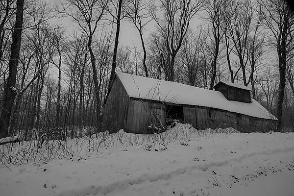 An abandoned sugar cabin...