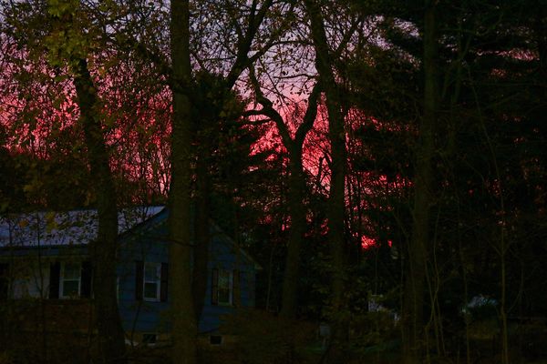 A fiery sunrise across the street this past week...
