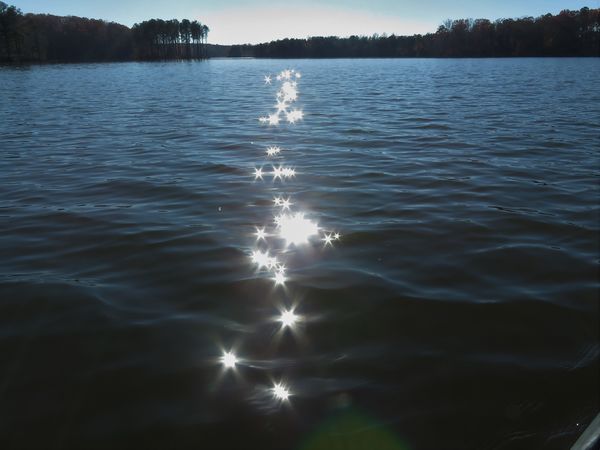 the sun was bright and i saw stars on the water....