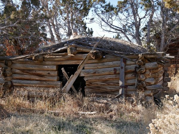 Hidden Back In The Trees Old Log Cabin With Sod Roof