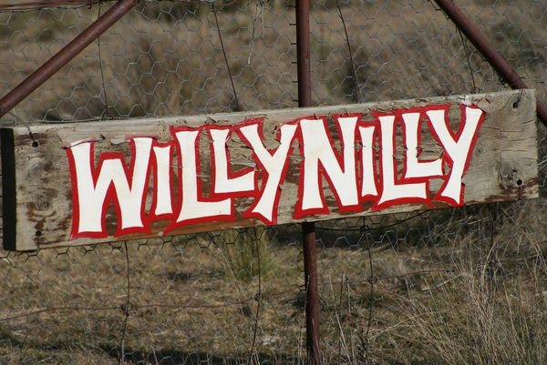 Willy Nilly meaning without care, being silly....