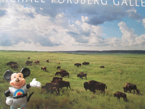 Micky on the Plains where the buffalo roam (backdr...