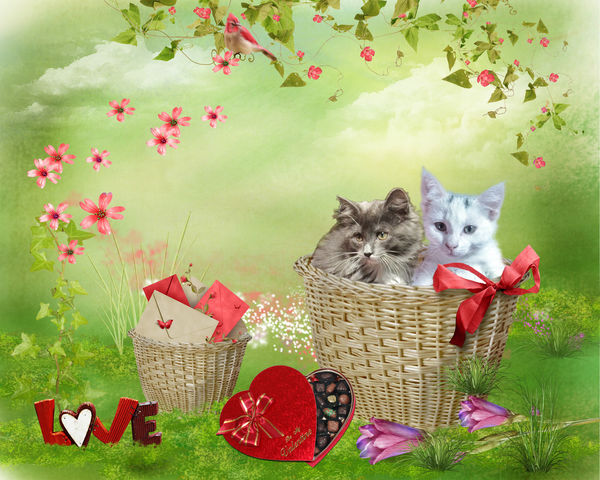 basket of love...