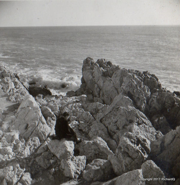 Rocky shore of Mediterranean Sea - 1946...