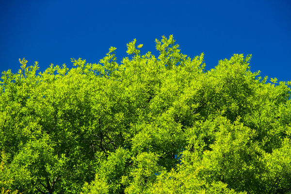 #2  I liked the pairing of spring green against th...