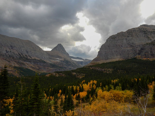 On the trail to Iceburg Lake - Glacier National Pa...