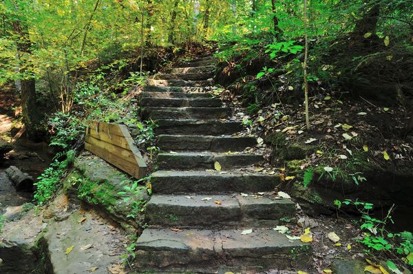 Stone steps in Turkey Run State Park IN...