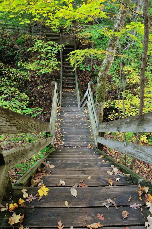 Wood stairs in Shades State Park IN...