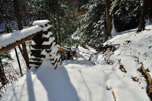 Snow covered steps in Turkey Run State Park IN...