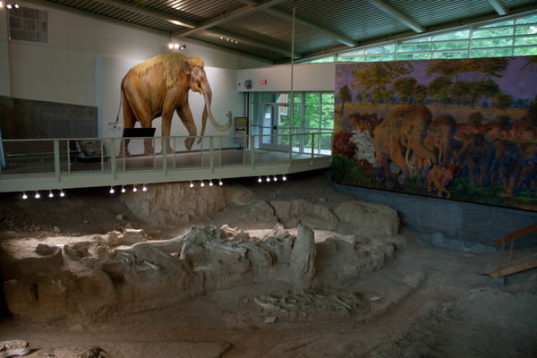 Waco Mammoth National Monument dig site...