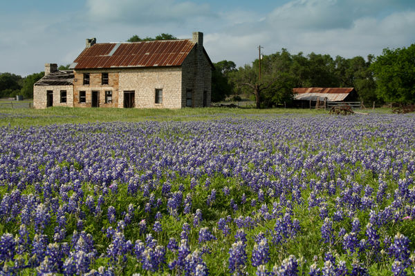 The "Bluebonnet House" near Burnett, Texas...