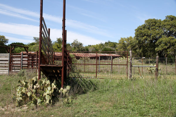 A unused cattle chute at Kerr Wildlife Management...