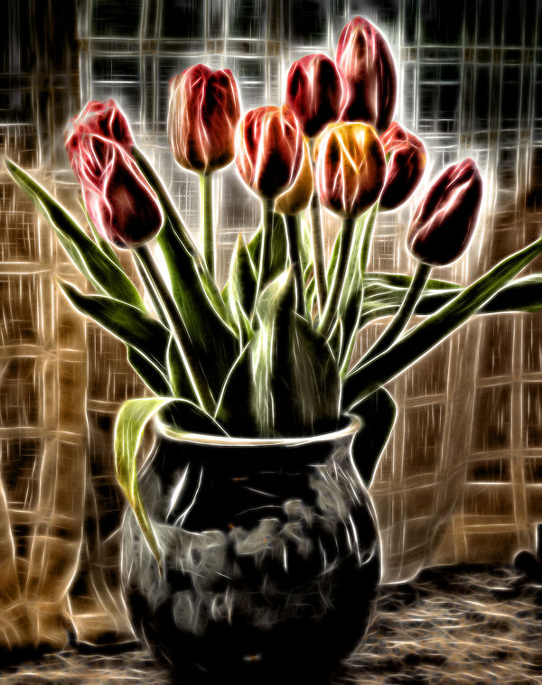 Tulips in vase...