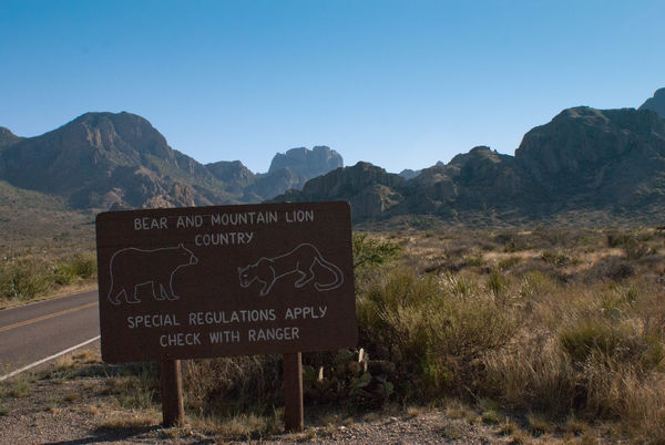 Entering the Chisos Mountains...