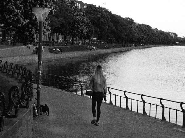 Girl walking dog.....