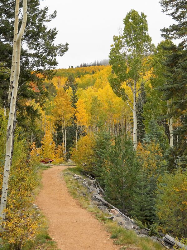 Aspen Vista Trail near Santa Fe, NM...