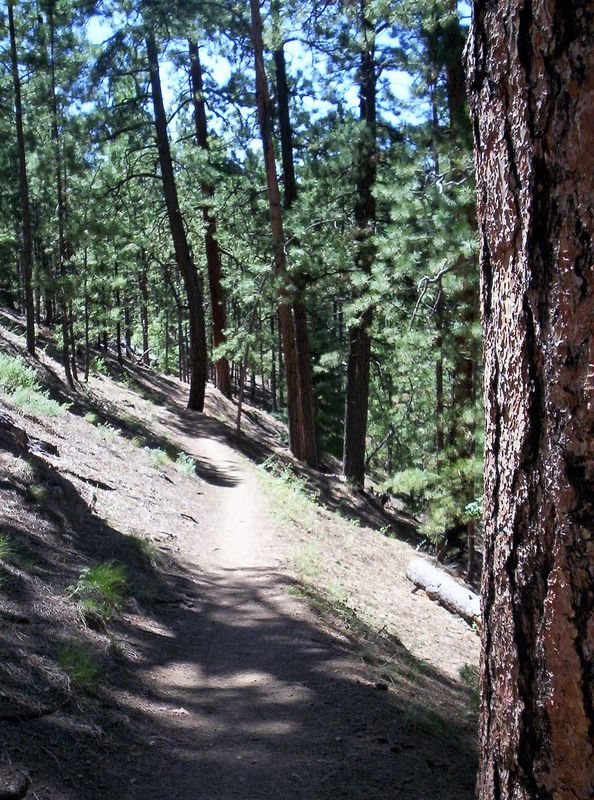 Chamisa Trail, near Santa Fe NM...