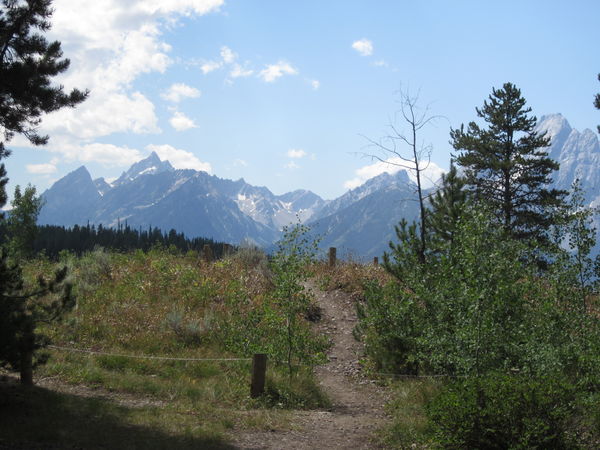backtrail to the Snake river bed in the Tetons...