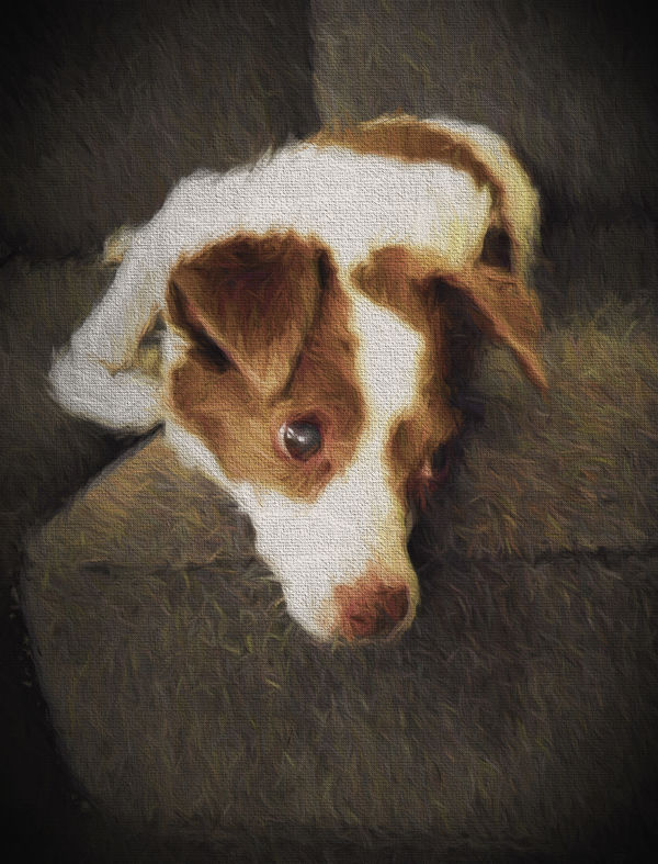 did a painting of Wally for her...
